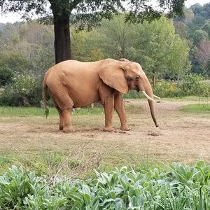 Meet your Posher, Traci